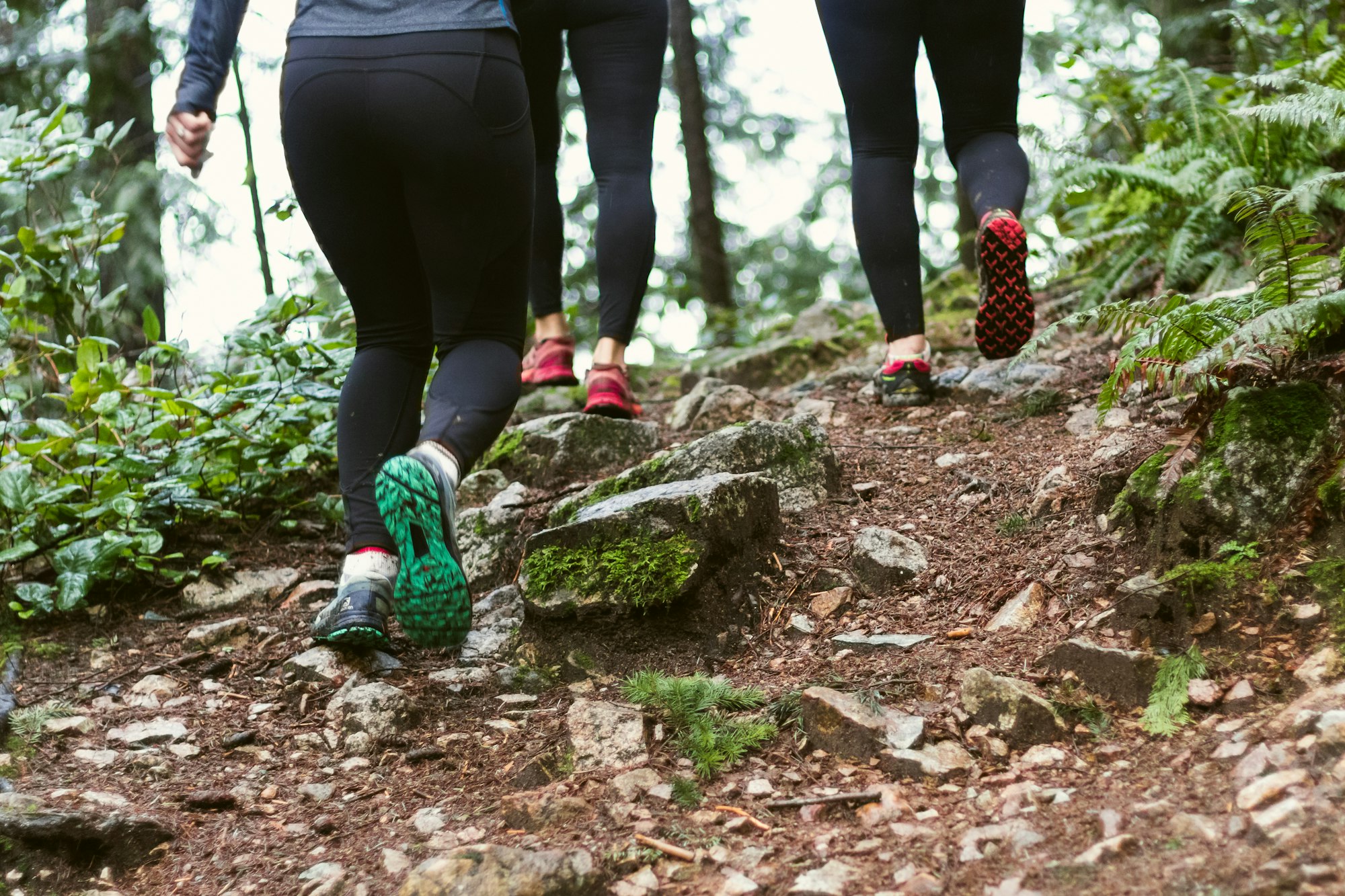 Two people hiking a forest trail in trail shoes